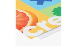 Banner 510