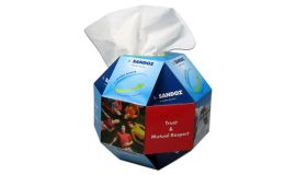 Kosmetiktücher-Box, Globus bedrucken